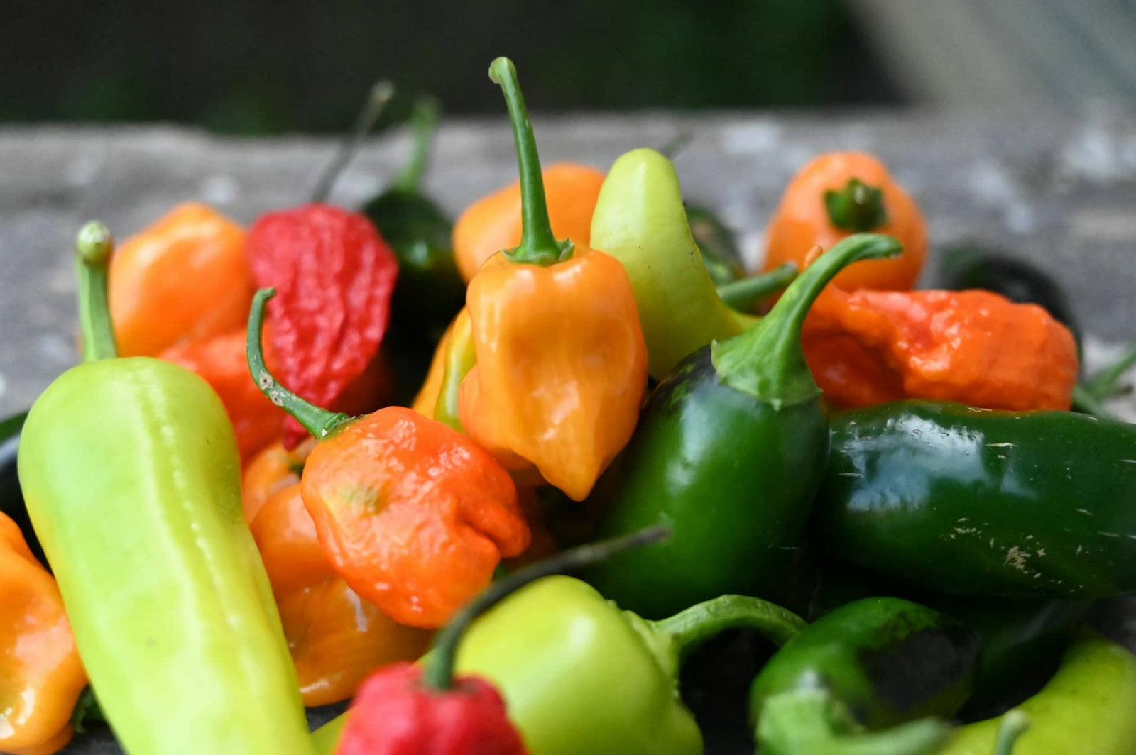 The Types of Hot Peppers & Their Flavor Profiles - TorchBearer Sauces